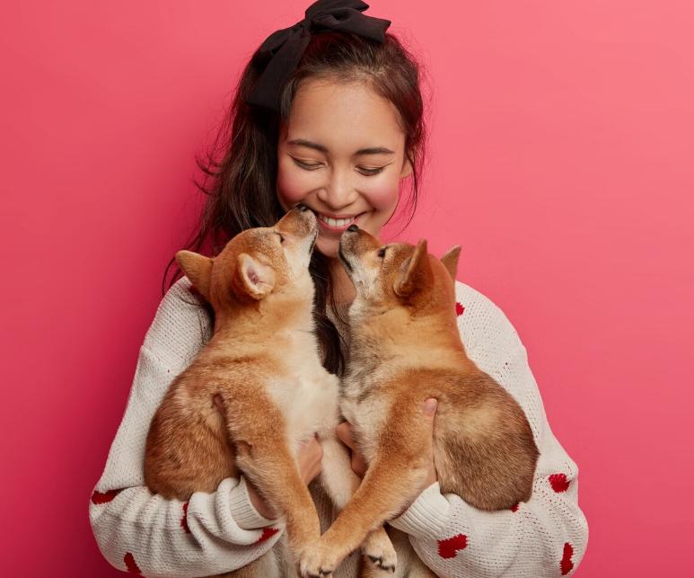 Pets